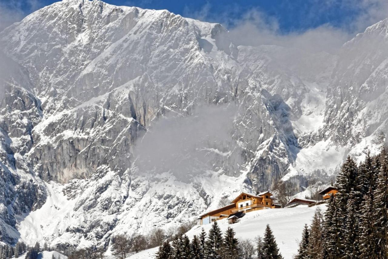 Gut Stein Panoramalodge Mühlbach am Hochkönig Extérieur photo