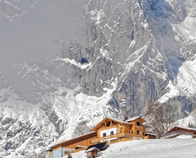 Gut Stein Panoramalodge Mühlbach am Hochkönig Extérieur photo