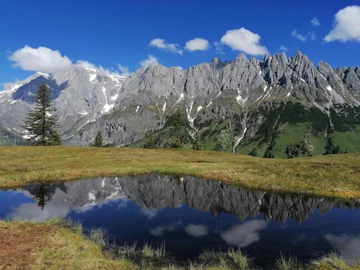 Gut Stein Panoramalodge Mühlbach am Hochkönig Extérieur photo