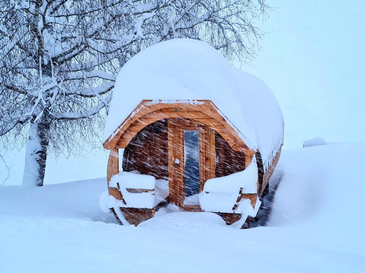 Gut Stein Panoramalodge Mühlbach am Hochkönig Extérieur photo