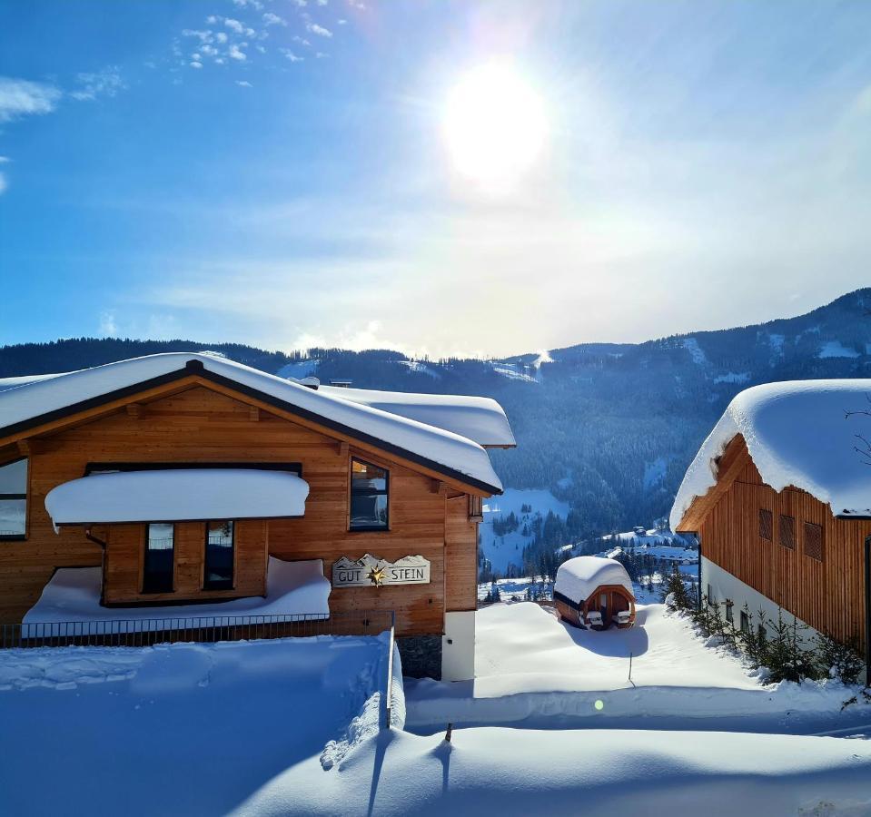 Gut Stein Panoramalodge Mühlbach am Hochkönig Extérieur photo